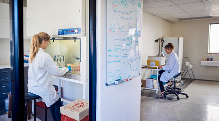 Two female technicians working in a lab