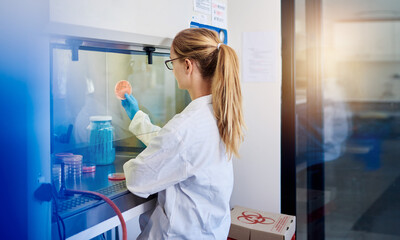 Female lab technician examining a sample in a biosafety cabinet