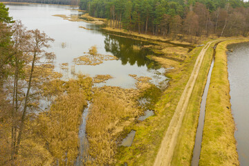 Stawy hodowlane położone wśród sosnowych lasów. Zdjęcie z drona.
