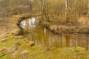Mała, nieuregulowana rzeka płynąca przez las. Zdjęcie z drona. - obrazy, fototapety, plakaty