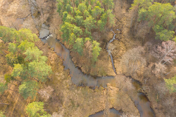 Mała, nieuregulowana rzeka płynąca przez las. Zdjęcie z drona.