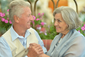 happy Senior couple holding hands