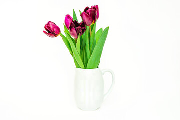 Purple tulips in vase on a white isolated background. Flower composition and spring concept