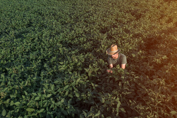 Naklejka na ściany i meble Aerial view of soybean farmer working in the field from drone pov