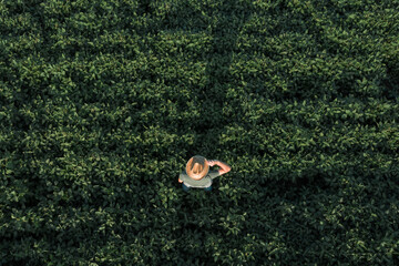 Aerial view of soybean farmer working in the field from drone pov