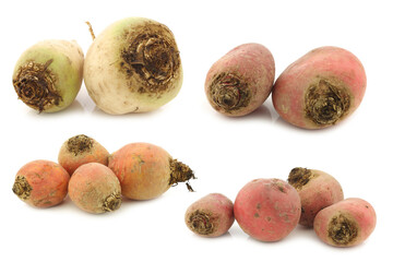 colorful mix of red,yellow and white beets on a white background