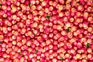 Apples background, a lot of fresh red apples, texture
