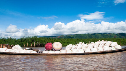 Canoa transporting people and goods on the Inle Lake taken over by nature, Myanmar (Burma),...