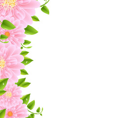Pink Gerbers Border With Leaves, Vector Illustration