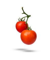 Tomatoes on the vine isolated on white background