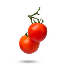 Tomatoes on the vine isolated on white background