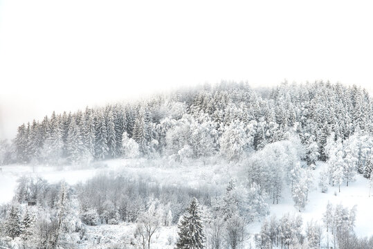 Obraz zima las góry śnieg