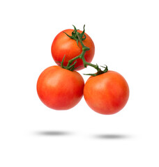 Tomatoes on the vine isolated on white background