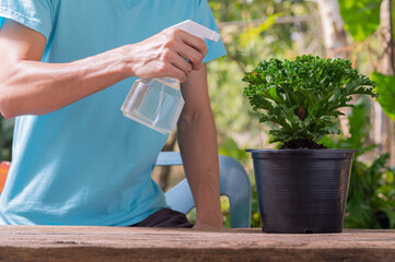 The water sprayer of plants in pots.