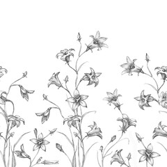 Bell Flower Border. Floral border with Bluebell flowers. Horizontal Seamless border made with hand drawn monochrome. Pencil drawing  floral pattern in vintage style.