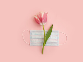 medical mask, tulip flower on a colored background