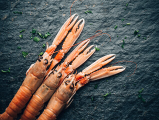 Luxury fresh raw langoustine or Scampi (Dublin Bay Prawn or Norway Lobster) on the  black slate...