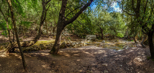 walking path with magical  ambient paved with rocks towards the tourist attraction of the famous Es...