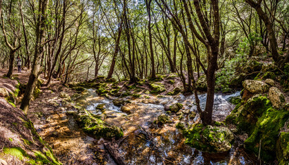 Obraz premium Es Freu (Orient), hiking area near the village of Bunyola on the balearic island of mallorca, spain