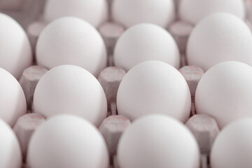Fresh white eggs close-up. Soft blur.