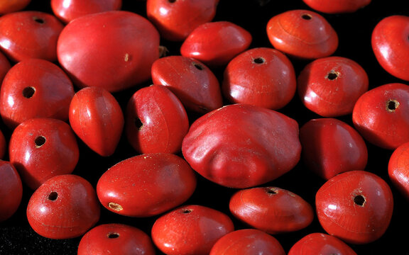 Colored Round Seeds