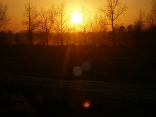 Breathtaking evening in the forest near river . spring bare trees and sunset sun over water. Countryside landscape