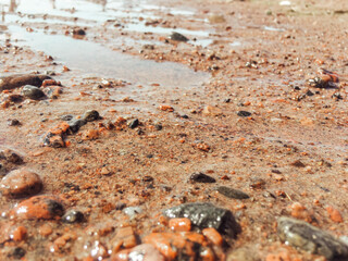 sand and shells on beach