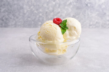 Homemade vanilla ice-cream