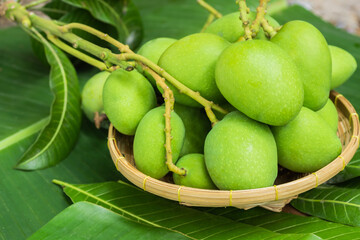 Green mangoes in basket and leaves floor free space.