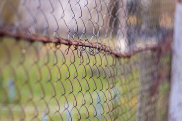 rusty chain link wire fence in the garden, shallow depth of field