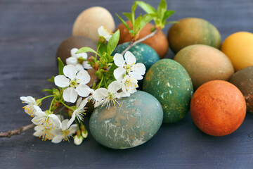 Colorful Easter eggs with cherry blossom branch.