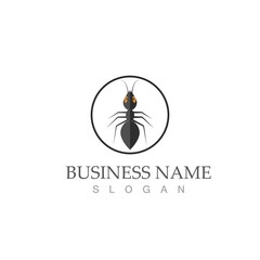 Ant vector illustration design