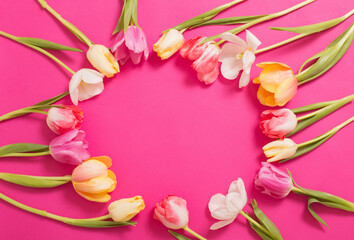 frame of tulips on pink background