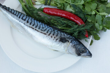 Fresh raw mackerel Scomber on a plate with red pepper, dill and cilantro.