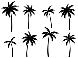 Foto op Plexiglas Black palm trees set isolated on white background. Palm silhouettes. Design of palm trees for posters, banners and promotional items. Vector illustration © andyvi