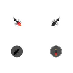 Ant vector illustration design