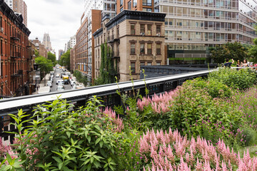 Elevated view from The High Line down West 17th Street, New York, USA. Foreground shows the vibrant flowers and shrubs planted in the park