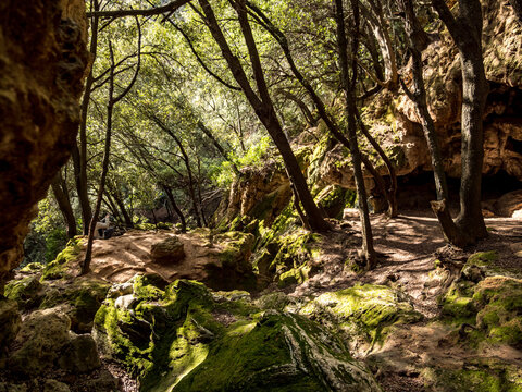 Es Freu (Orient), hiking area near the village of  Bunyola on the balearic island of mallorca, spain