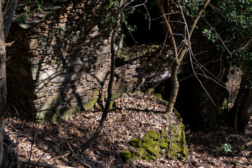Boschi di Alpicella, Parco del Monte Beigua (Savona)