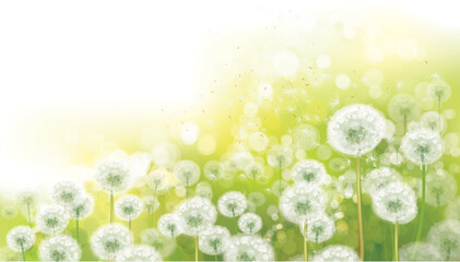 Vector spring bokeh background with white dandelions.