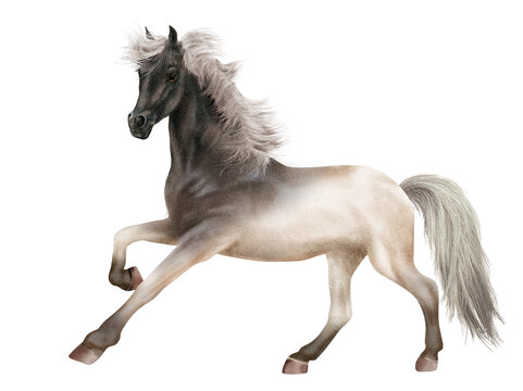 cheval, licorne, animal, fantaisie, blanc, étalon, blanc, tête noir, poney, photo, crin, illustration, poulain, chevalin, 3d, fond blanc, jument, debout, premier pas, féérique, andalou, pur, galop, am