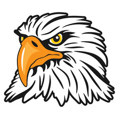 Fototapeta premium bald eagle head