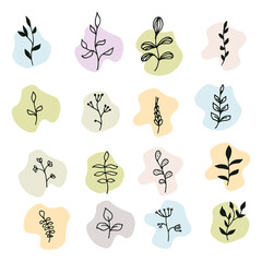 Vector hand drawn floral icons set
