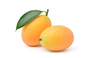 Two Fresh sweet marian plum fruits with leaf isolated on white background. Clipping path.