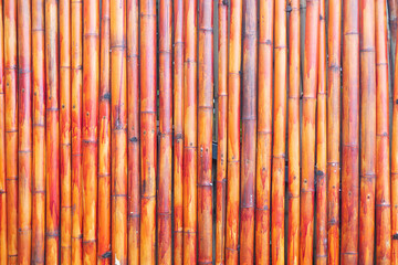 Bamboo plant tree plank stripped fence wall background or backdrop decoration