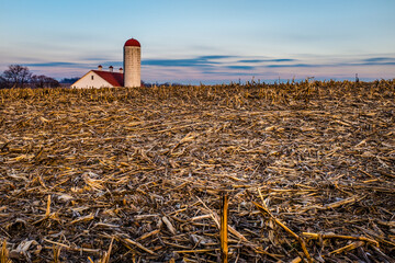 Harvest Farm View