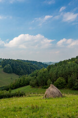 Fototapeta na wymiar Haystack, Western Serbia, sunny day vertical landscape view. 