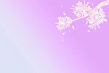桜　枝　ピンク　シルエット　背景　紫　グラデーション　和風　春　イメージ