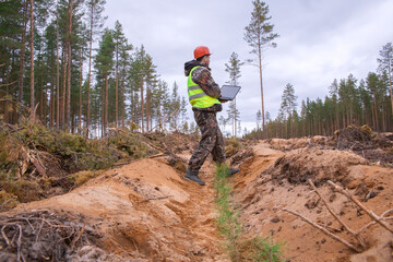 A forest engineer makes monitoring of forest areas with planted seedlings. The concept of...