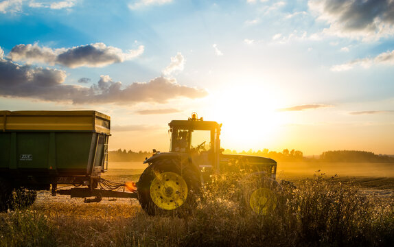 Prague, Czech Republic - August 14, 2013. Tractor John Deere harvesting grain during summer sunset in Czech Republic